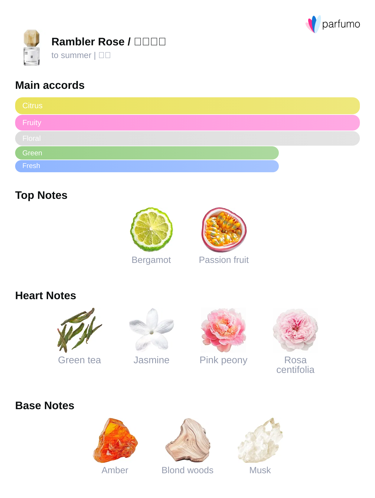 Rambler Rose (踏云蔷薇)