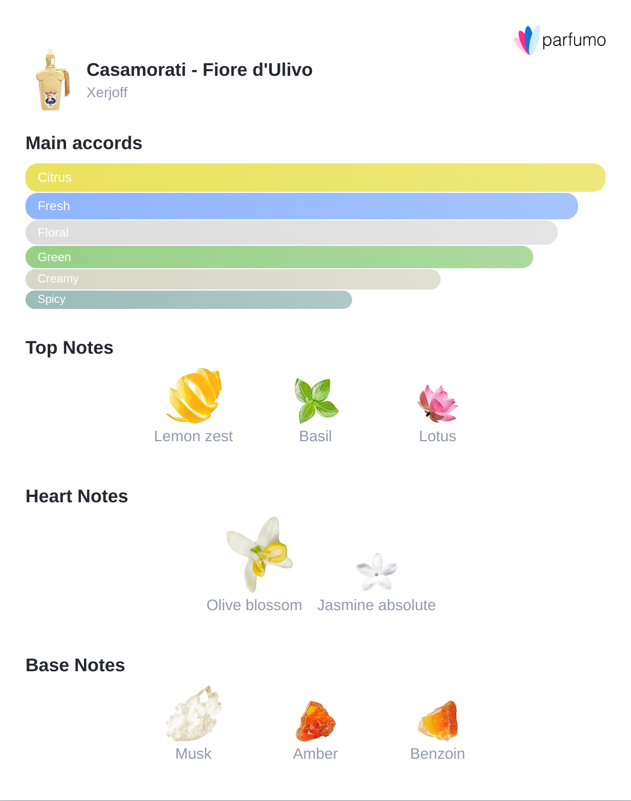 Fiore d'Ulivo | Unisex Citrus Gourmand Perfume | Rituel Privé