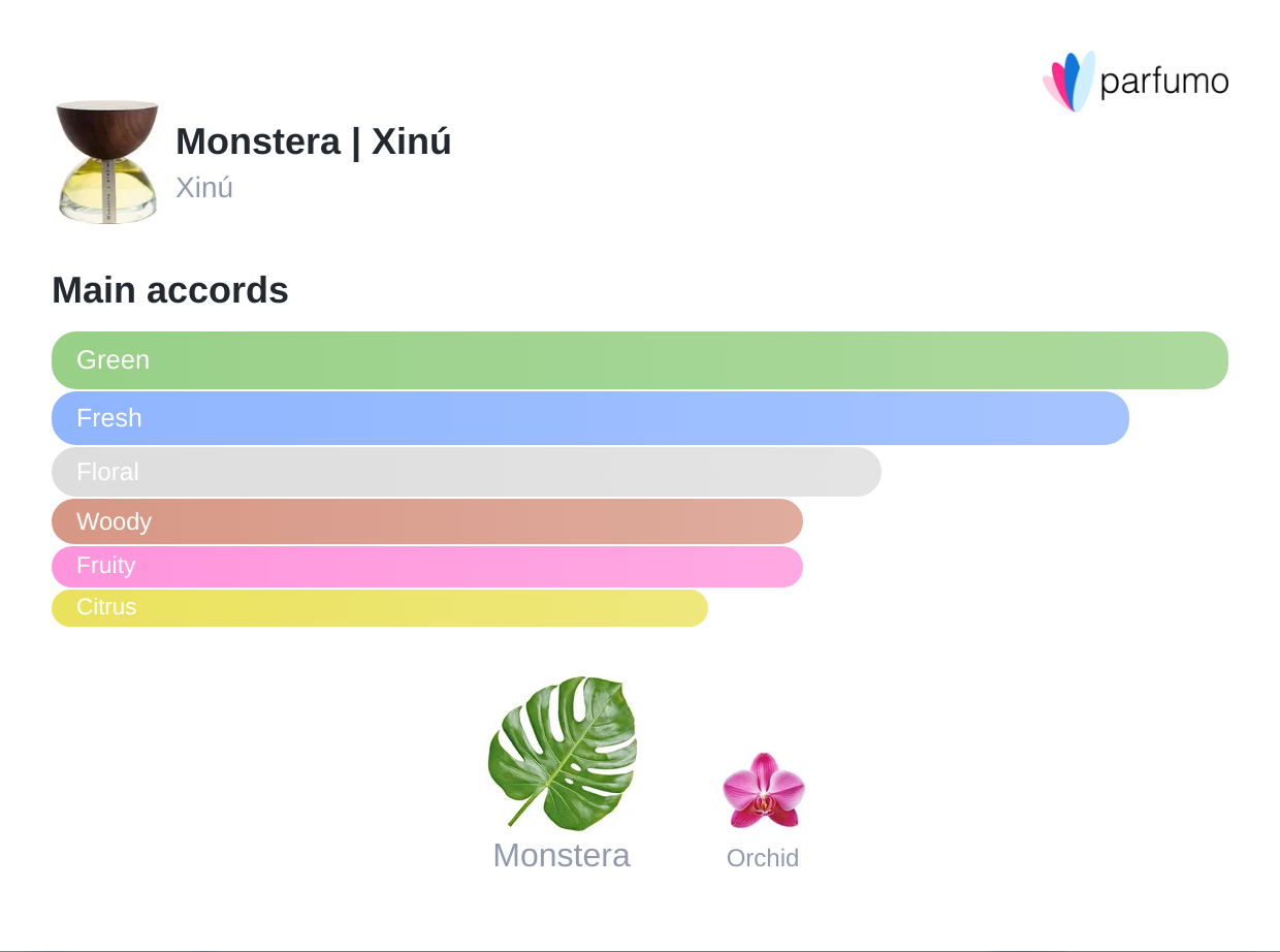 Monstera | Lush Green Jungle Scent | Rituel Privé