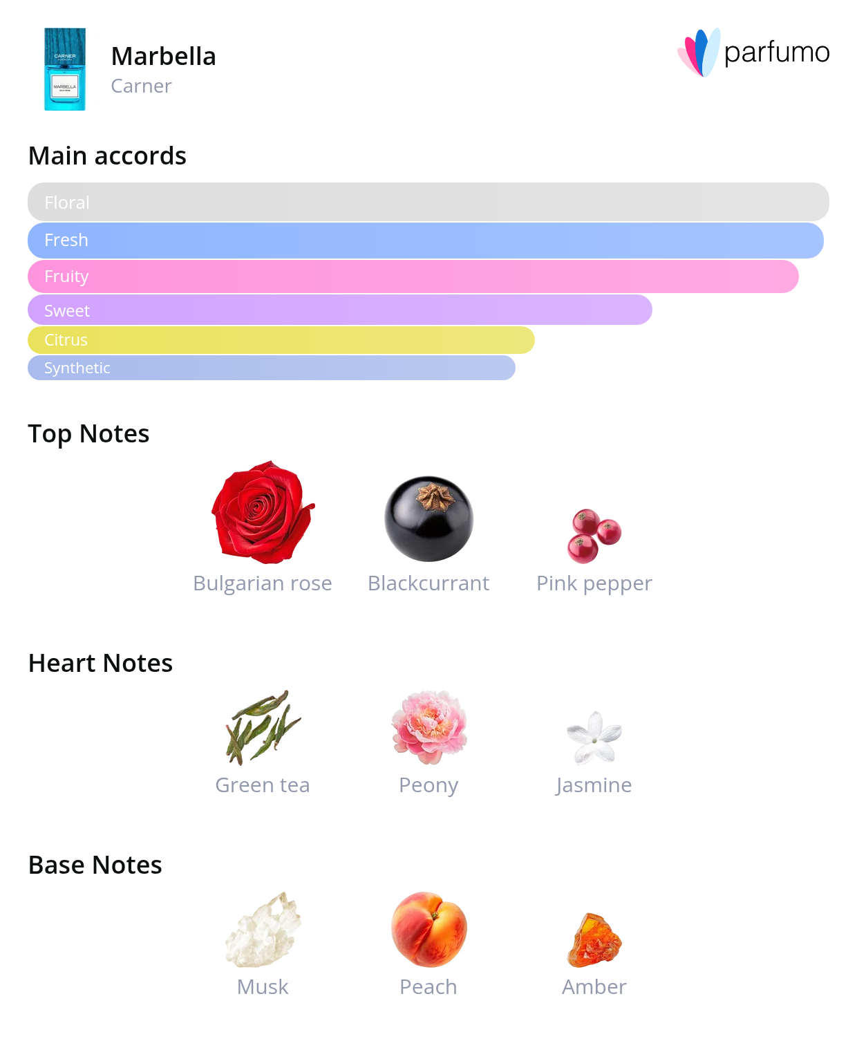 Marbella fragrance notes graphic by Carner