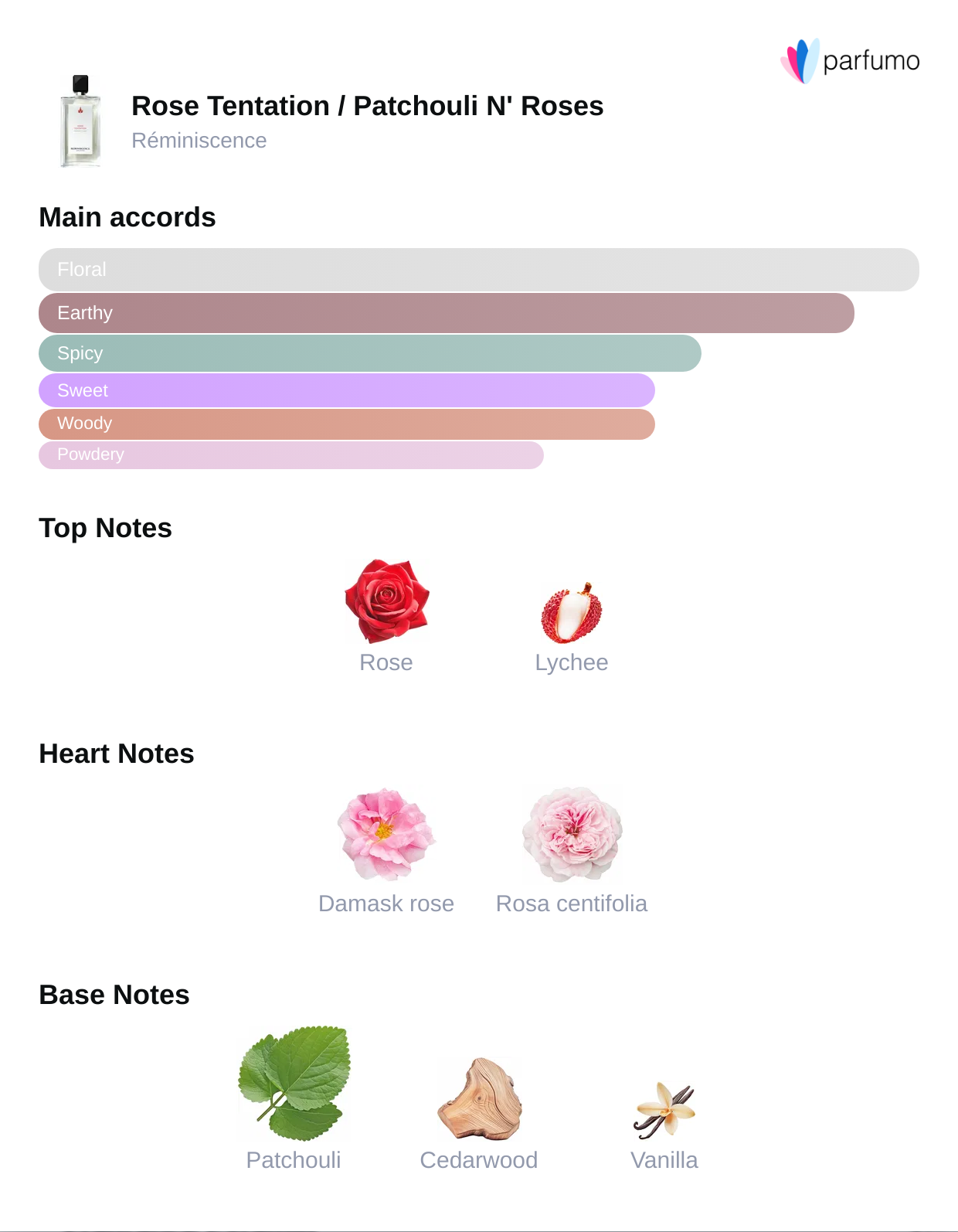 Rose Tentation Floral Elegance | Unisex Scent | Rituel Privé