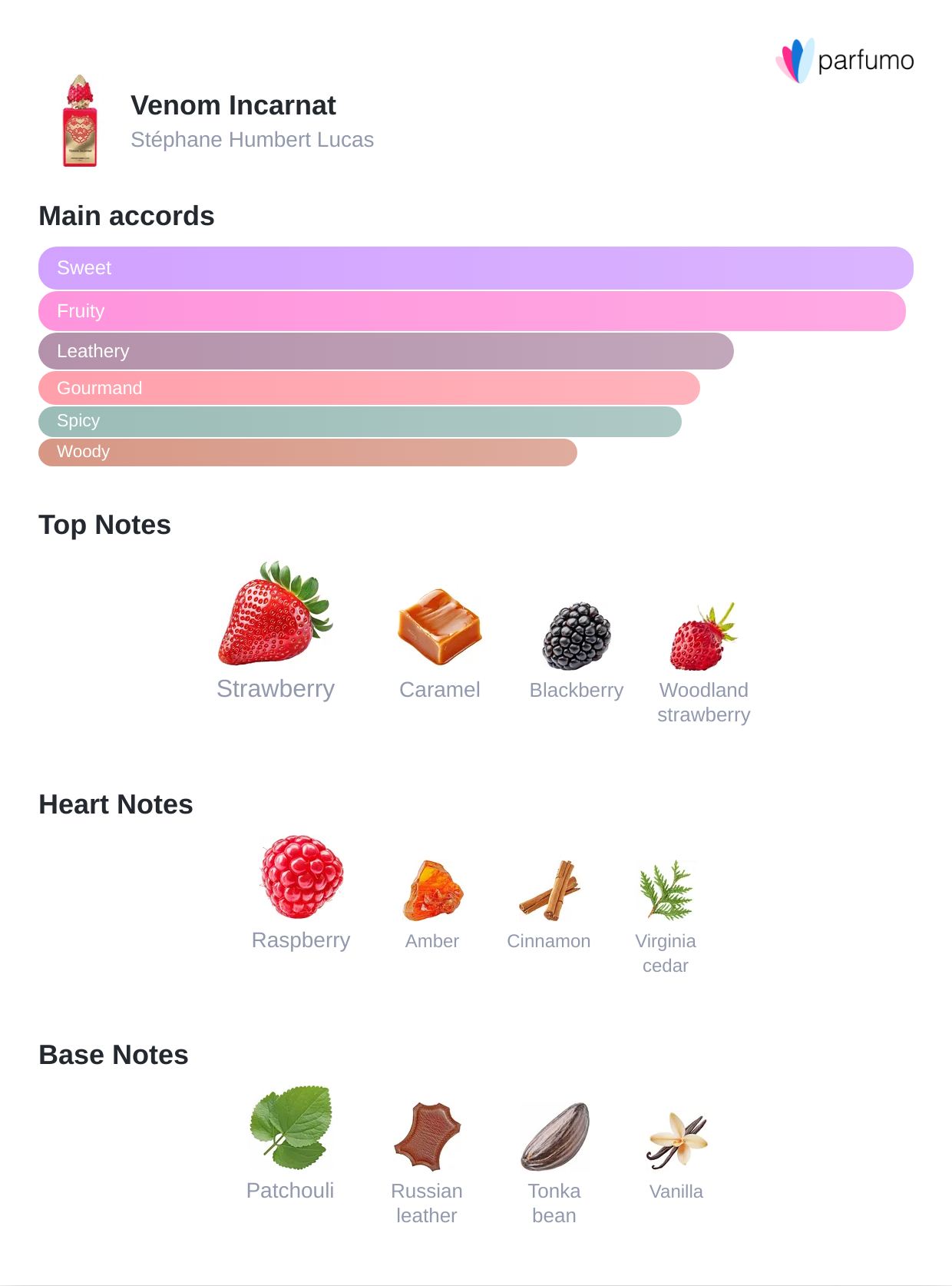 Venom Incarnat | Irresistible Unisex Perfume | Rituel Privé