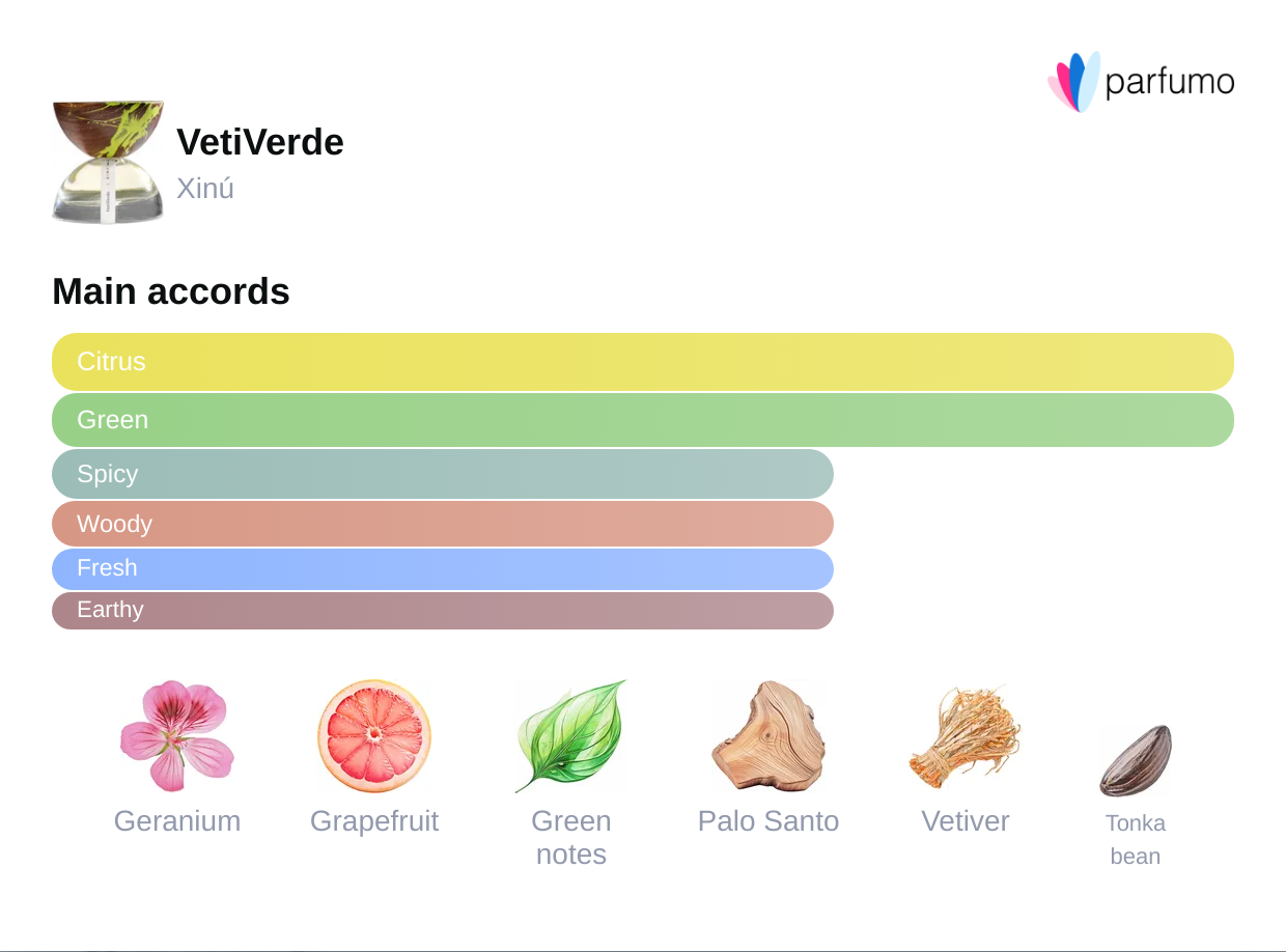 VetiVerde Aromatic Essence – Bold Unisex Aroma | Rituel Privé