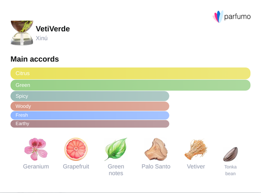 VetiVerde Aromatic Essence – Bold Unisex Aroma | Rituel Privé